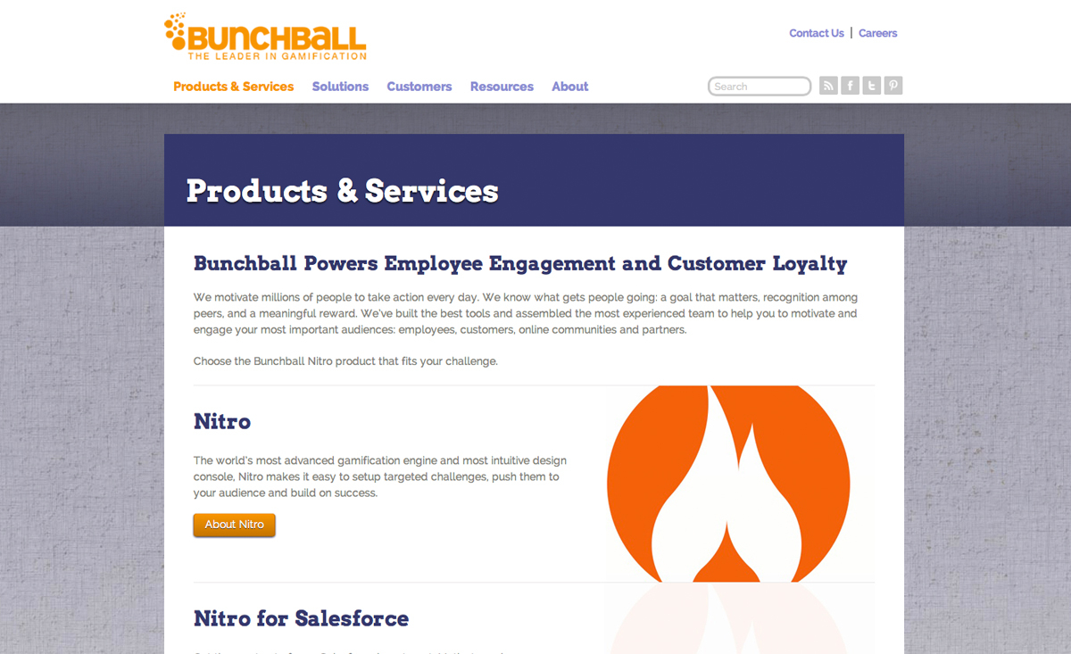 Bunchball Gamification